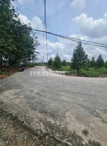 6004831 ảnh đại diện 1