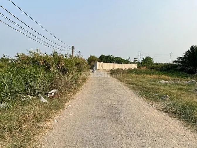6004990 ảnh đại diện 1