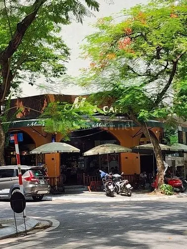 6005000 ảnh đại diện 1