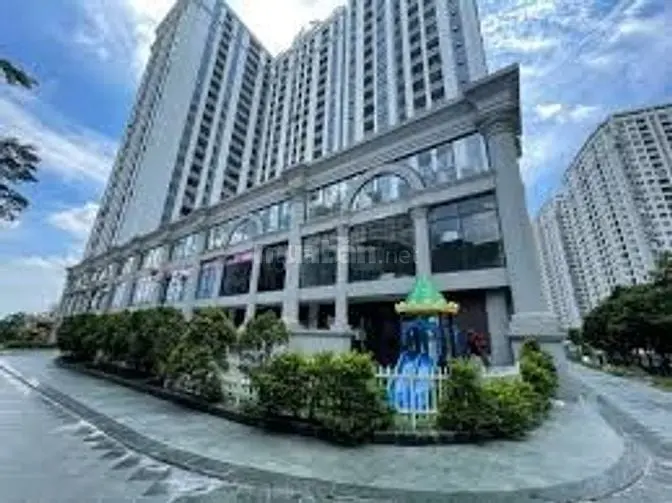 6004998 ảnh đại diện 1