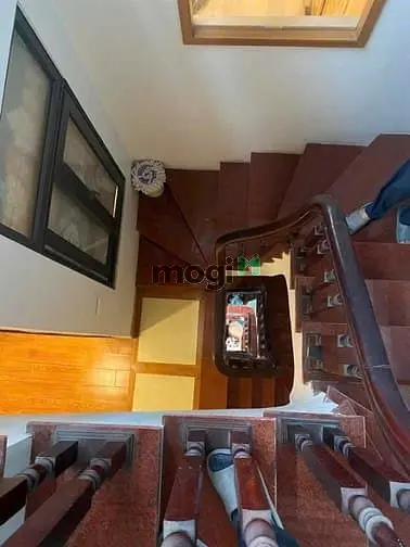6005142 ảnh đại diện 1