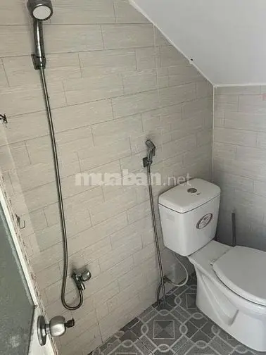 6004611 ảnh đại diện 1