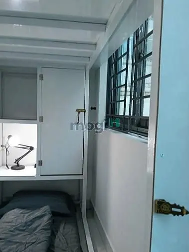6004657 ảnh đại diện 1