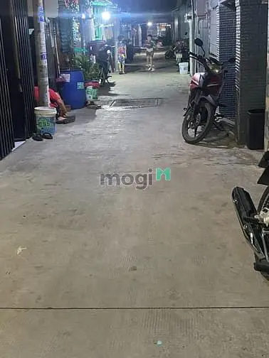 6004629 ảnh đại diện 1