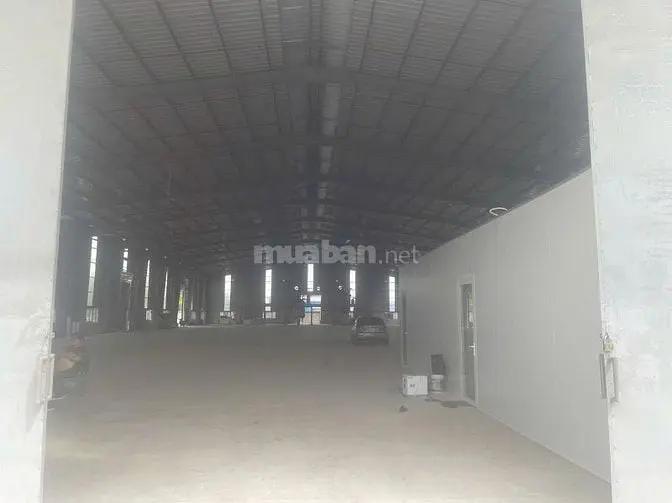 6004882 ảnh đại diện 1