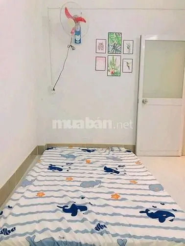 Cho Thuê Ch Đđtnghi Lầu 1, C/Cư An Bình P.7, Q.5 Giá 14Tr