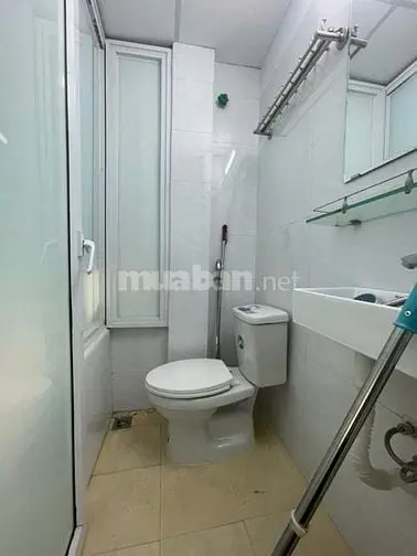 6005063 ảnh đại diện 1
