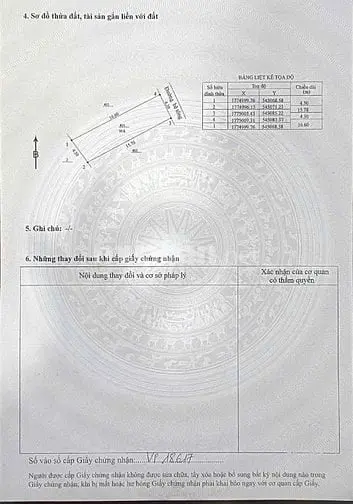 6004708 ảnh đại diện 1