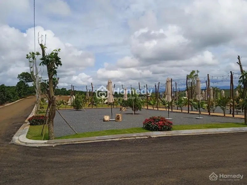 6005071 ảnh đại diện 1