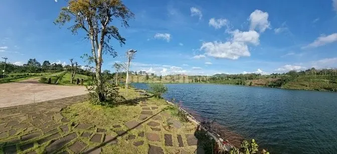 Bán 6 Lô Đất 11.000 M2, Đắk Song - Đắk Nông. Bán Đất Đăk Nông Phù Hợp