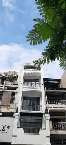 6004759 ảnh đại diện 1