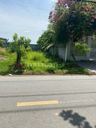 6004865 ảnh đại diện 1