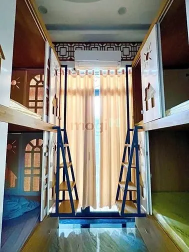 6004600 ảnh đại diện 1