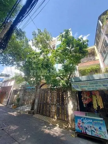 6004755 ảnh đại diện 1