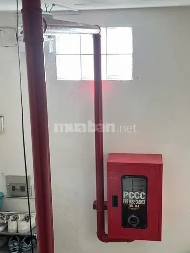 6004851 ảnh đại diện 1