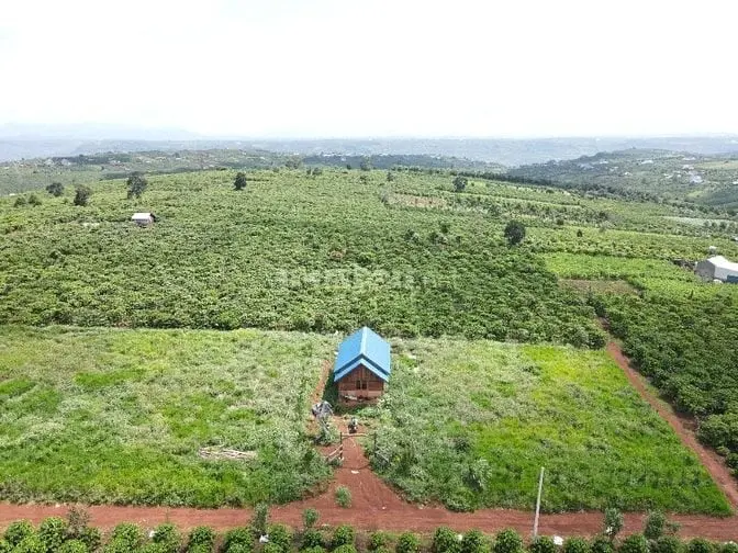 Đất Thổ Cư Đinh Lạc View Đẹp Thích Hợp Nghỉ Dưỡng