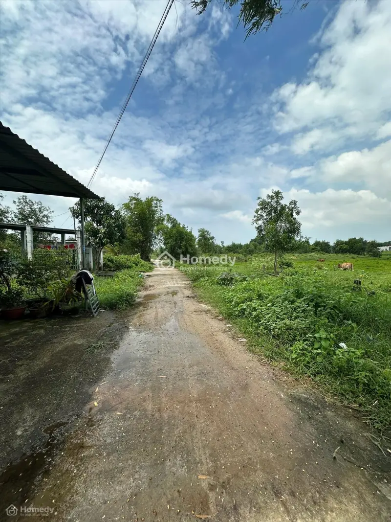 Bán Đất Thổ Cư Tân Bình, Thị Xã Lagi Chỉ 980 Triệu Đường Ô Tô