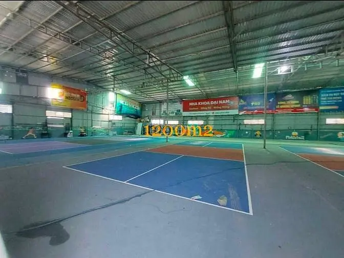 6004725 ảnh đại diện 1