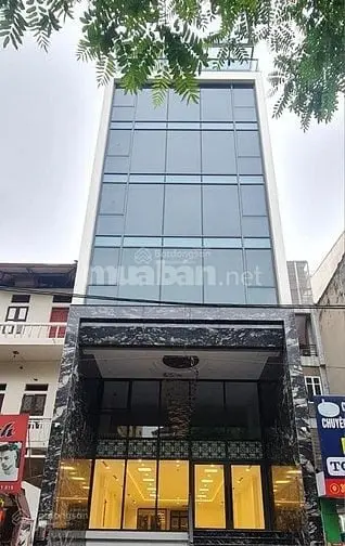6004678 ảnh đại diện 1