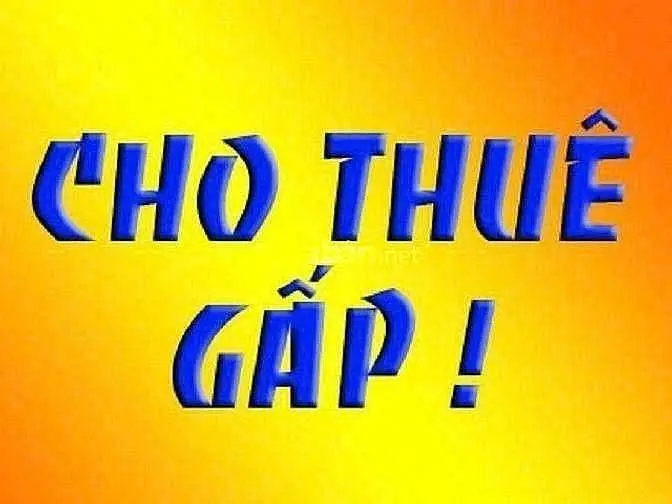 6004828 ảnh đại diện 1