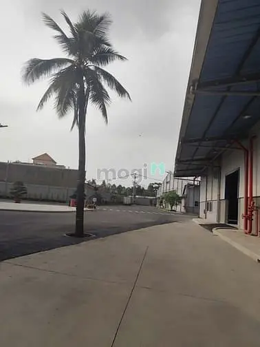 6005065 ảnh đại diện 1