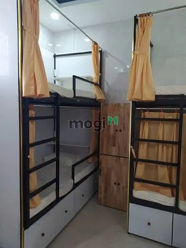 6004833 ảnh đại diện 1