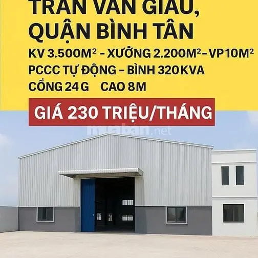 6004899 ảnh đại diện 1