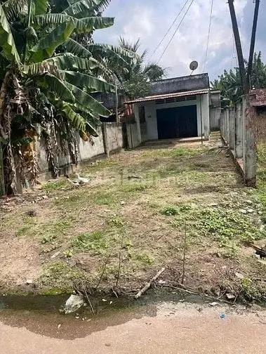 6005301 ảnh đại diện 1