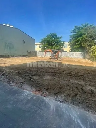 6005622 ảnh đại diện 1