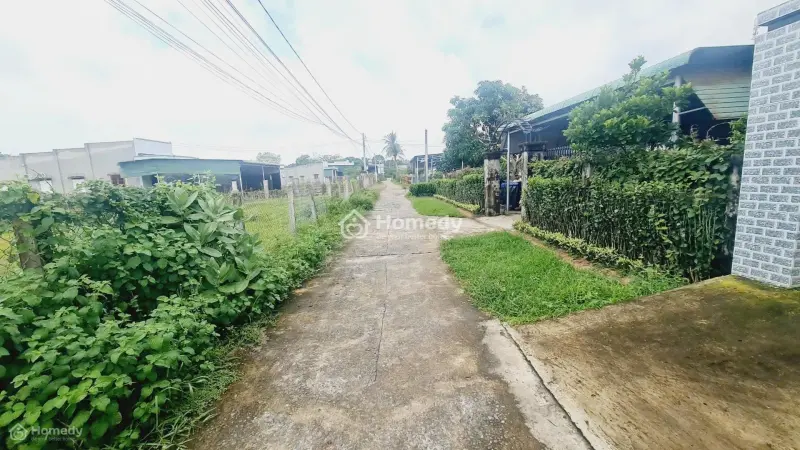 Bán Đất Thổ Cư Phường Phước Hội, Lâm Đồng. Gần Dự Án 577, Dt 195M2 - 1,1 Tỷ