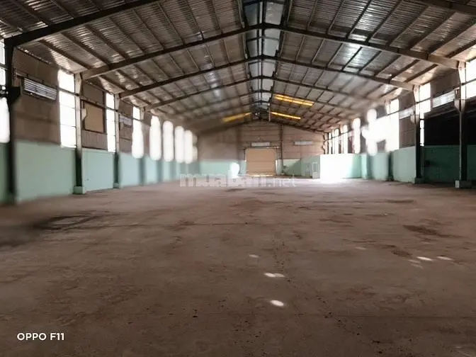6005668 ảnh đại diện 1