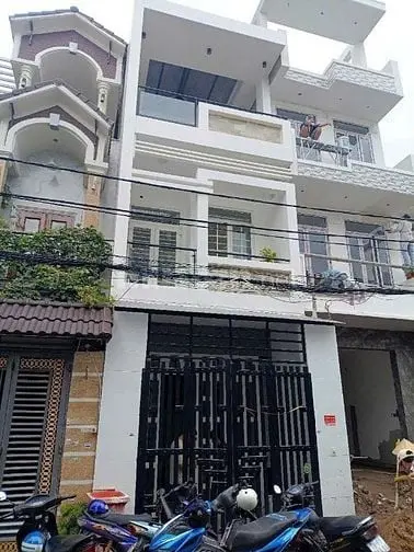 6005335 ảnh đại diện 1
