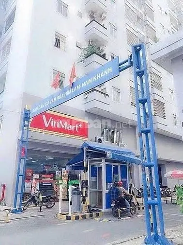 6005662 ảnh đại diện 1