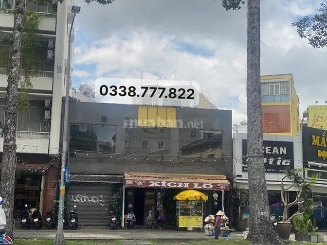 6005595 ảnh đại diện 1
