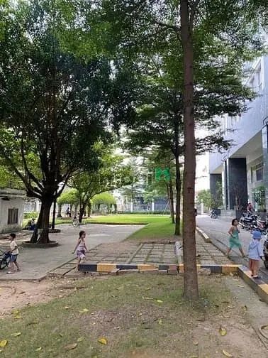6005558 ảnh đại diện 1