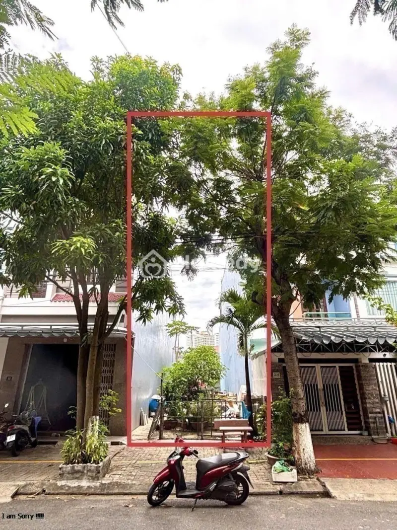 6005287 ảnh đại diện 1