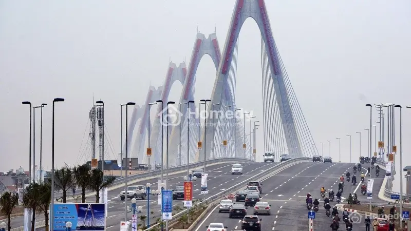 6005418 ảnh đại diện 1