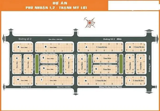 6005513 ảnh đại diện 1