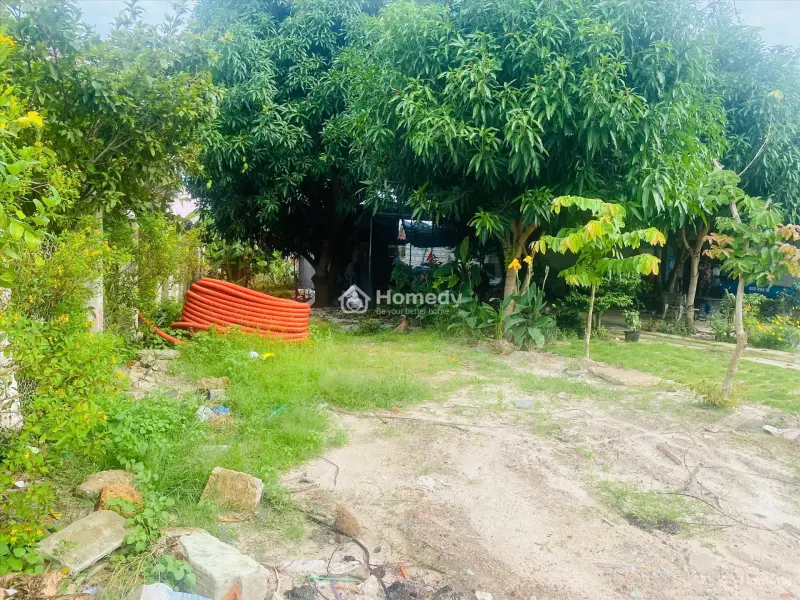 Bán 5M X 47 Đất Odt Đường Nguyễn Văn Trỗi - Tân An - Lagi Giá Ngộp