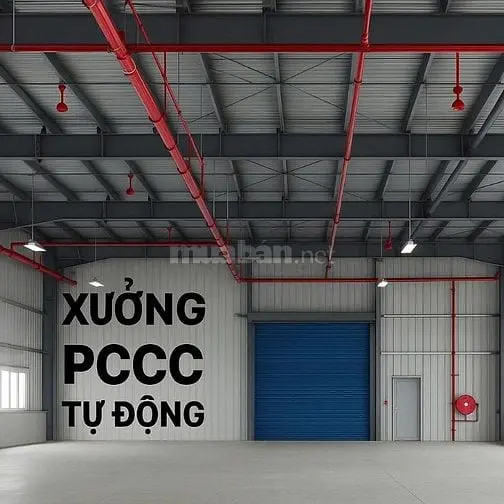 Bán Xưởng Mới Xây 3.800M2 Tại Kcn Hòa Bình , Giá Chỉ : 43.5 Tỷ ( Tl)
