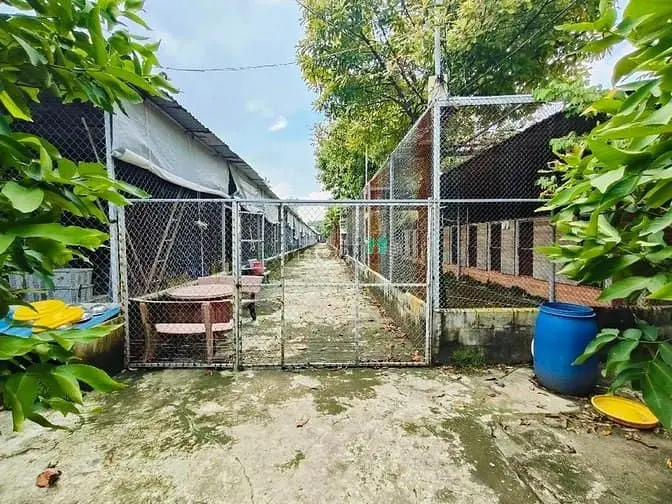 Khu Nhà Đẹp Lung Linh, Vườn Rộng Rải Trại Thú Độc Lạ, 3461M2; 24,5 Tỷ