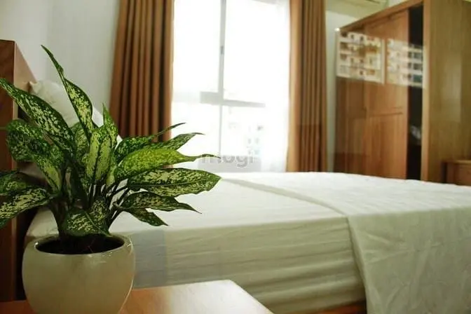 Phòng Cao Cấp Sang Trọng Quận 5 , Giá Sinh Viên , 25M2, Sat Quan 1