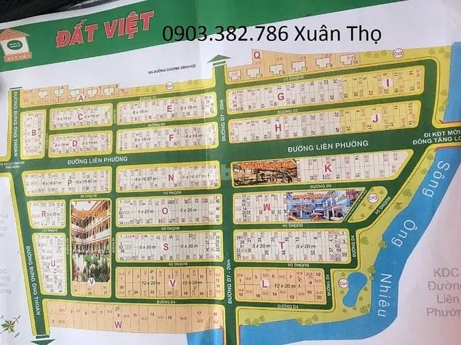 6005292 ảnh đại diện 1