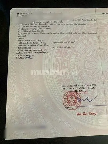 6005219 ảnh đại diện 1