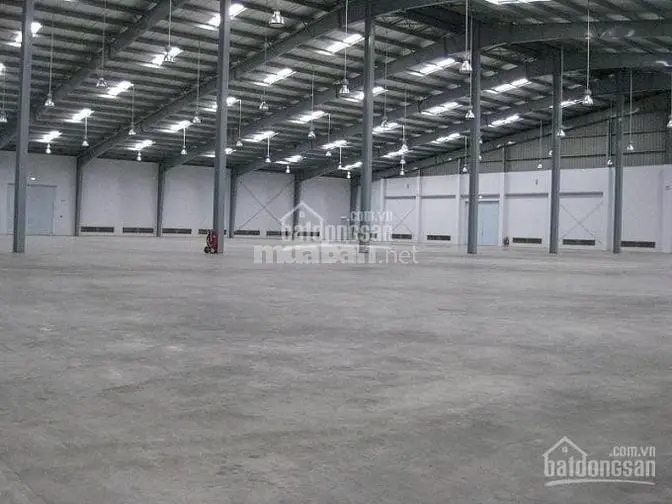 6005251 ảnh đại diện 1