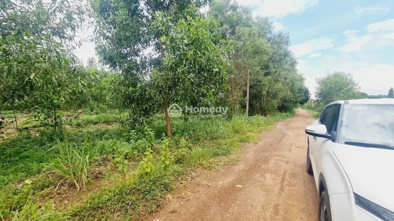 6005605 ảnh đại diện 1
