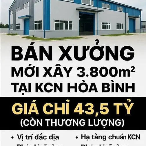 6005519 ảnh đại diện 1