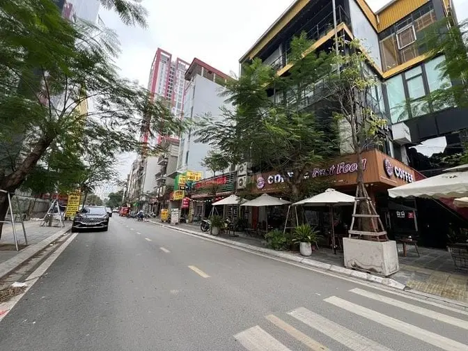 6005443 ảnh đại diện 1