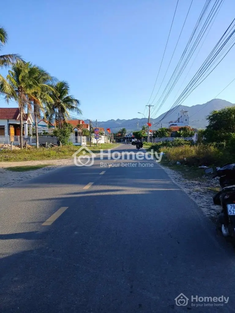 6005636 ảnh đại diện 1