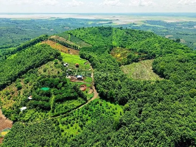 Vợ Chồng Đi Nước Ngoài Cần Bán Gấp Lô Đất Vườn Đẹp Tại Định Quán
